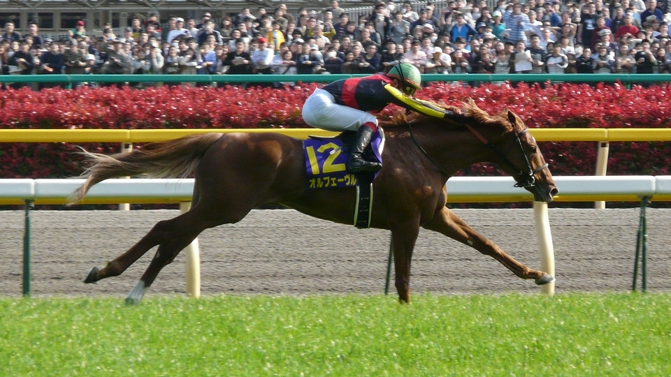 G1競馬レースで優勝を果たした名馬のかっこいい高画質画像 壁紙まとめ 写真まとめサイト Pictas