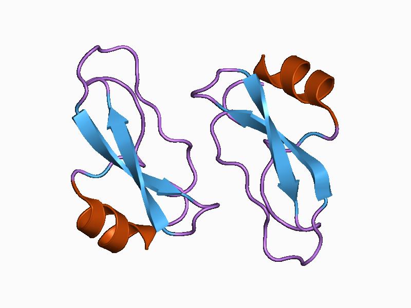 File:PDB 1aap EBI.jpg