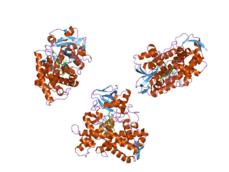 File:PDB 1izo EBI.jpg