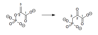 phosphoenolpyruvate structure