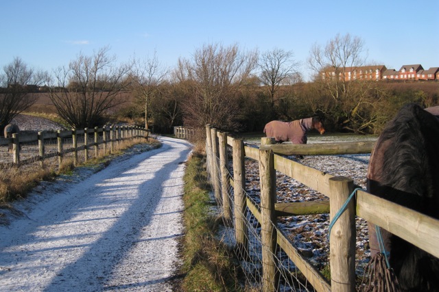 File:Paddocks east of Whitnash Brook - geograph.org.uk - 1627827.jpg