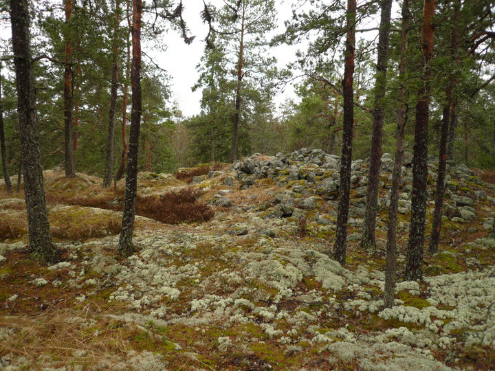 File:Paimion Rekottilan röykkiö.jpg