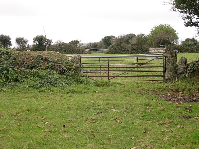 File:Pasture Land at Mithian Downs - geograph.org.uk - 62559.jpg