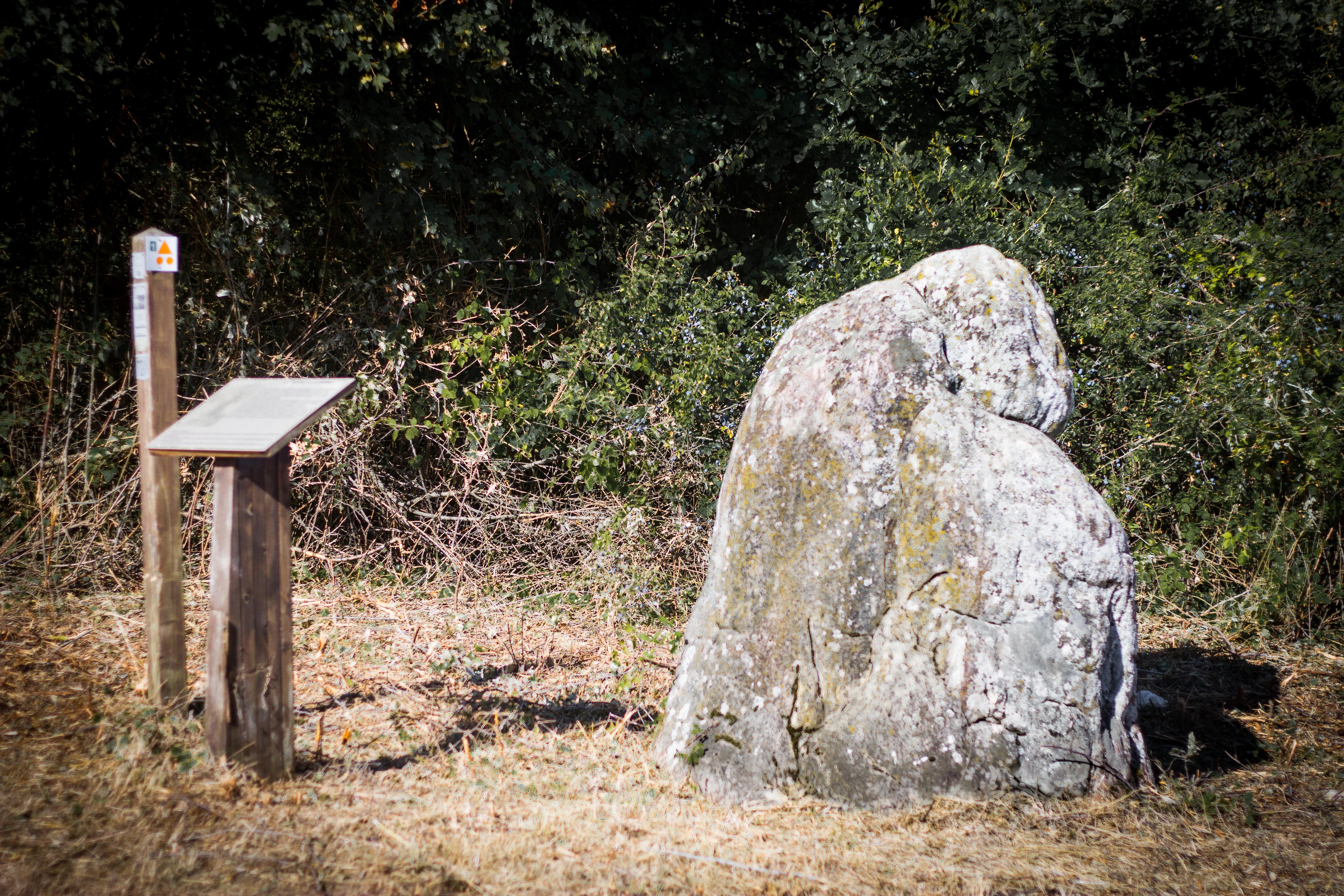 Saint-georges-sur-moulon