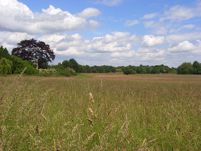 Pinkneys Green - geograph.org.uk - 849563