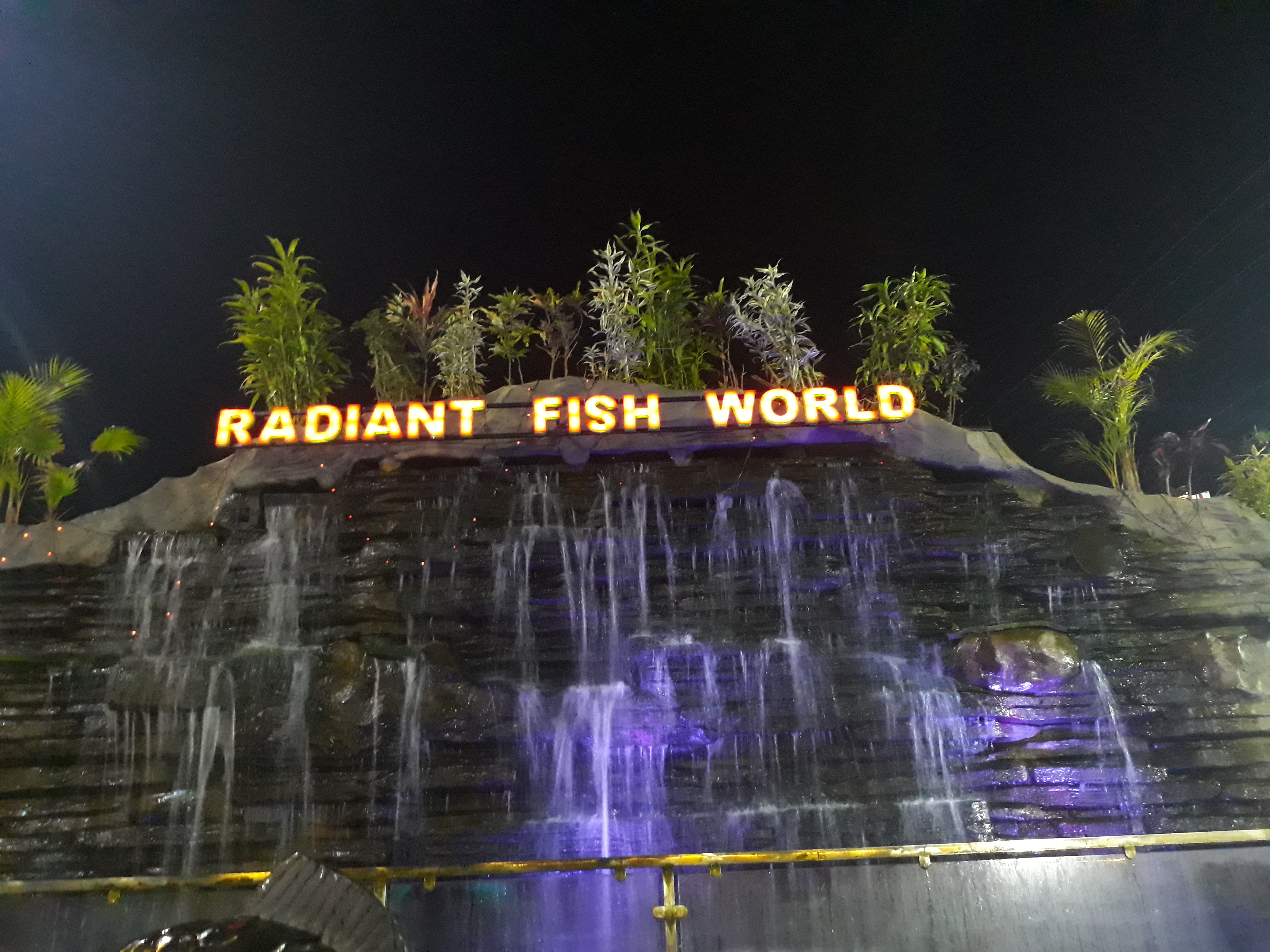 radiant fish world cox's bazar sea beach