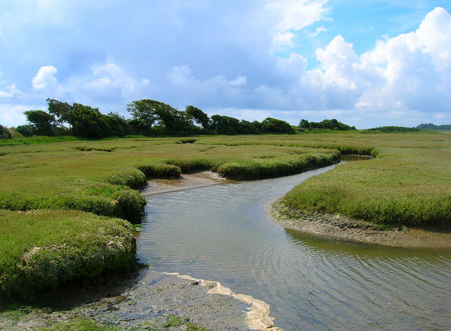 Saltmarsh, Pagham Harbour - geograph.org.uk - 501421