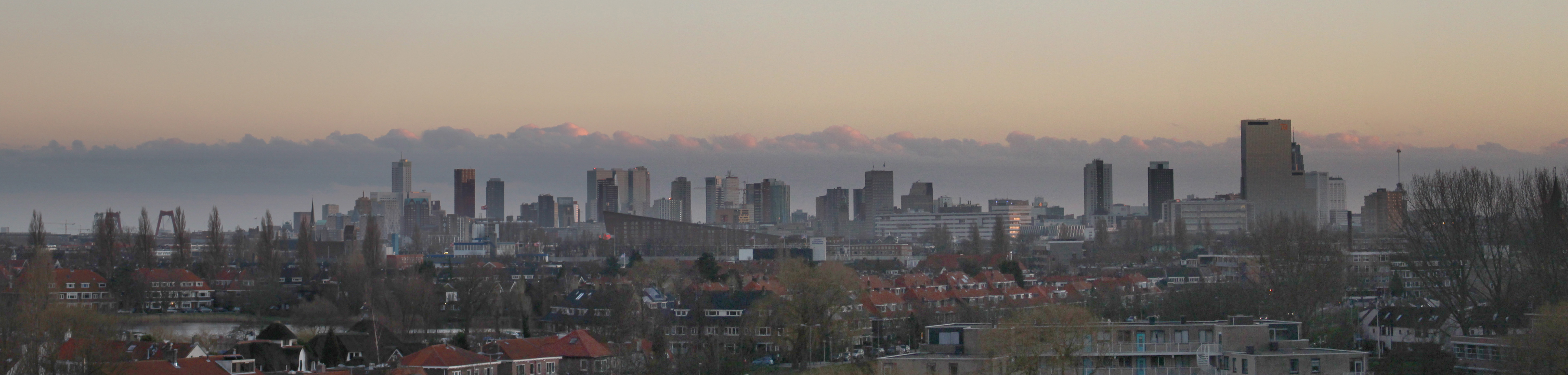 Skyline Rotterdam from Schiebroek cropped.jpg
