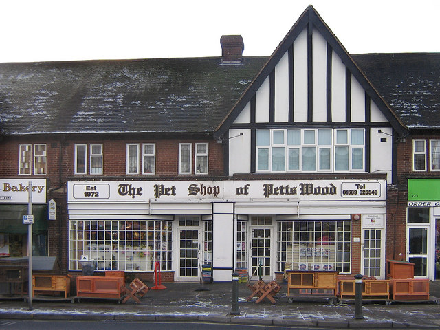 all pets petts wood