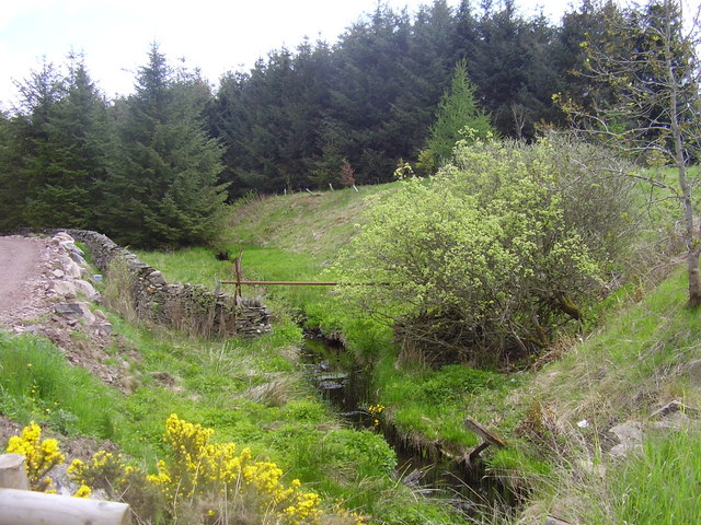 File:Threepbridge Wood - geograph.org.uk - 814324.jpg