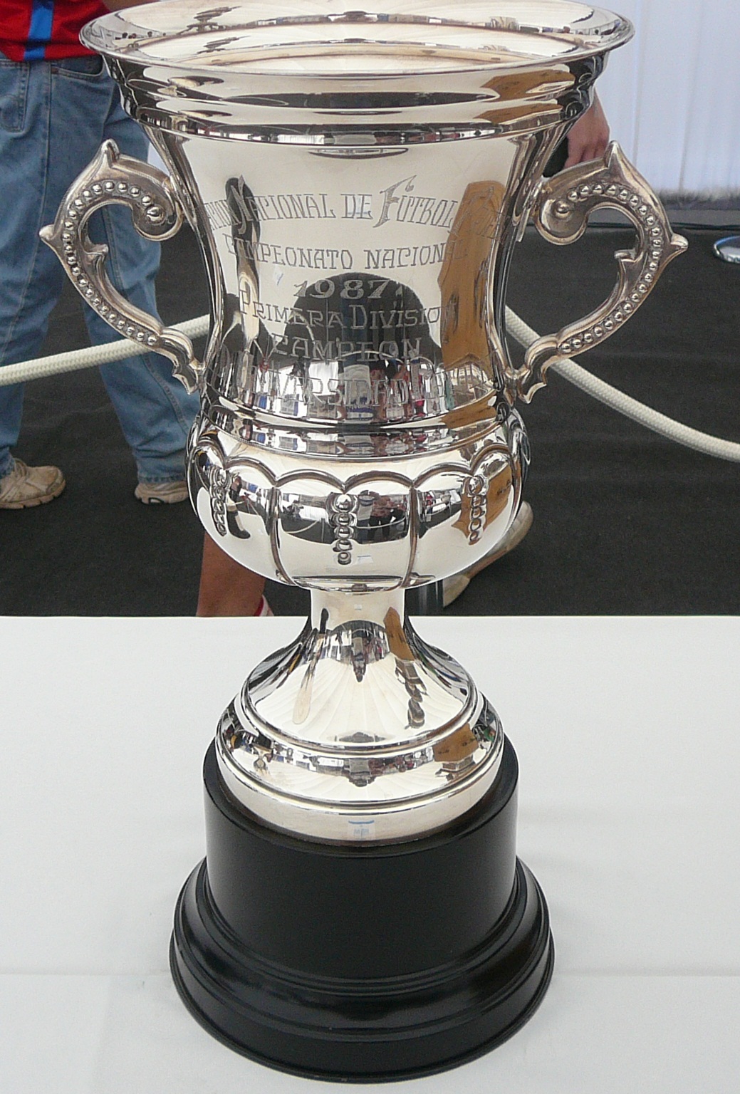 Archivo:Trofeo del Campeonato Nacional 1987 de Chile.JPG ...