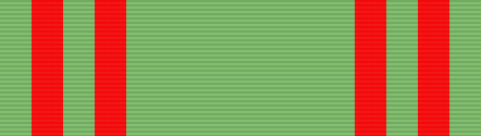 File:Young Marines Recruiter of the Year Ribbon.png