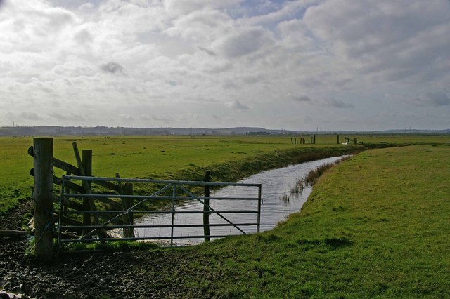 File:A Ryestreet Dike - geograph.org.uk - 360318.jpg