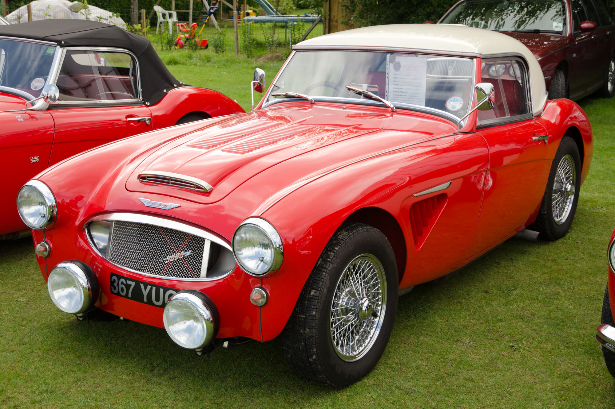 Austin Healey 3000 Racing