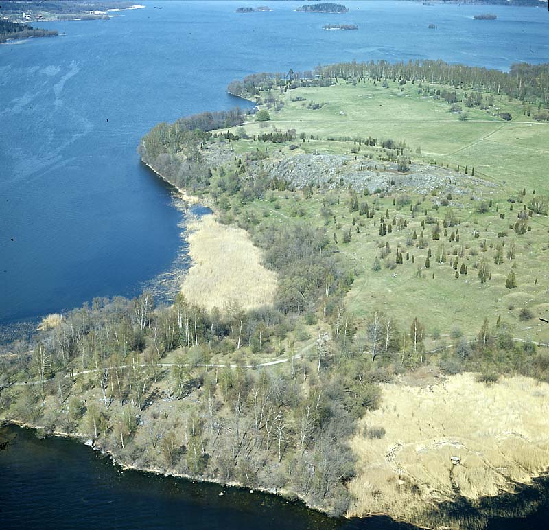 birka björkö