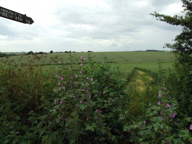 File:Bridleway to Patmoreheath - geograph.org.uk - 473277.jpg