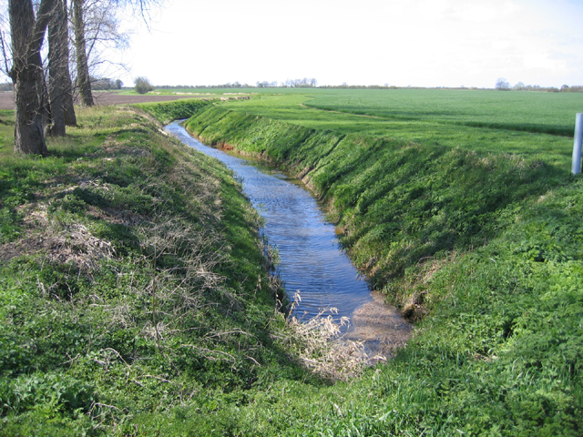 File:Cat's Water Drain.jpg