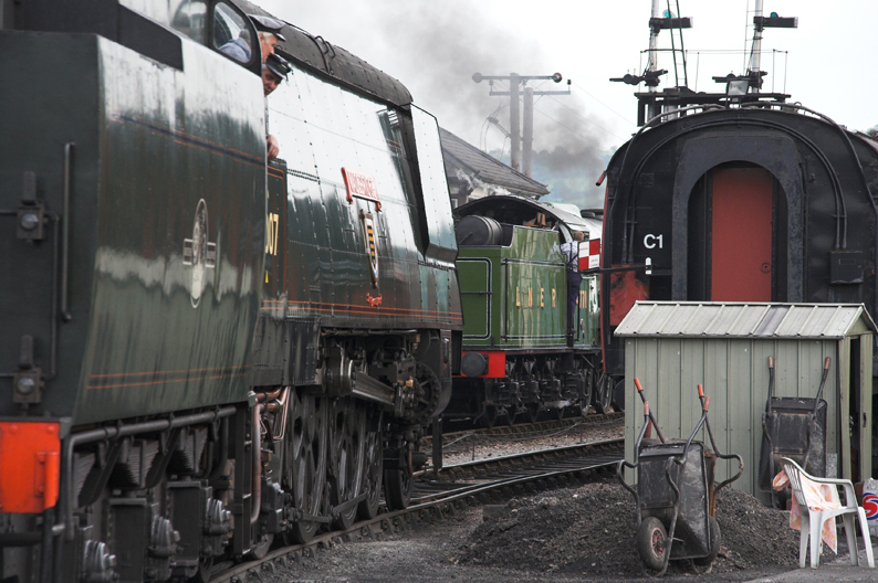 File:Coming on shed (530149056).jpg