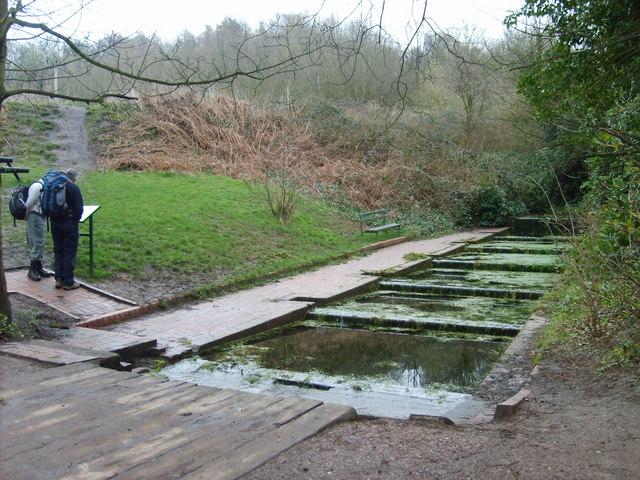 Cress Beds - geograph.org.uk - 374566