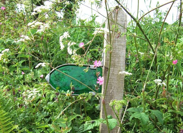 File:Curious Green Wheel Sign - geograph.org.uk - 177401.jpg