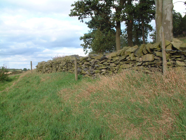 File:Drystone wall at Billa Barra Local Nature Reserve - geograph.org.uk - 41175.jpg