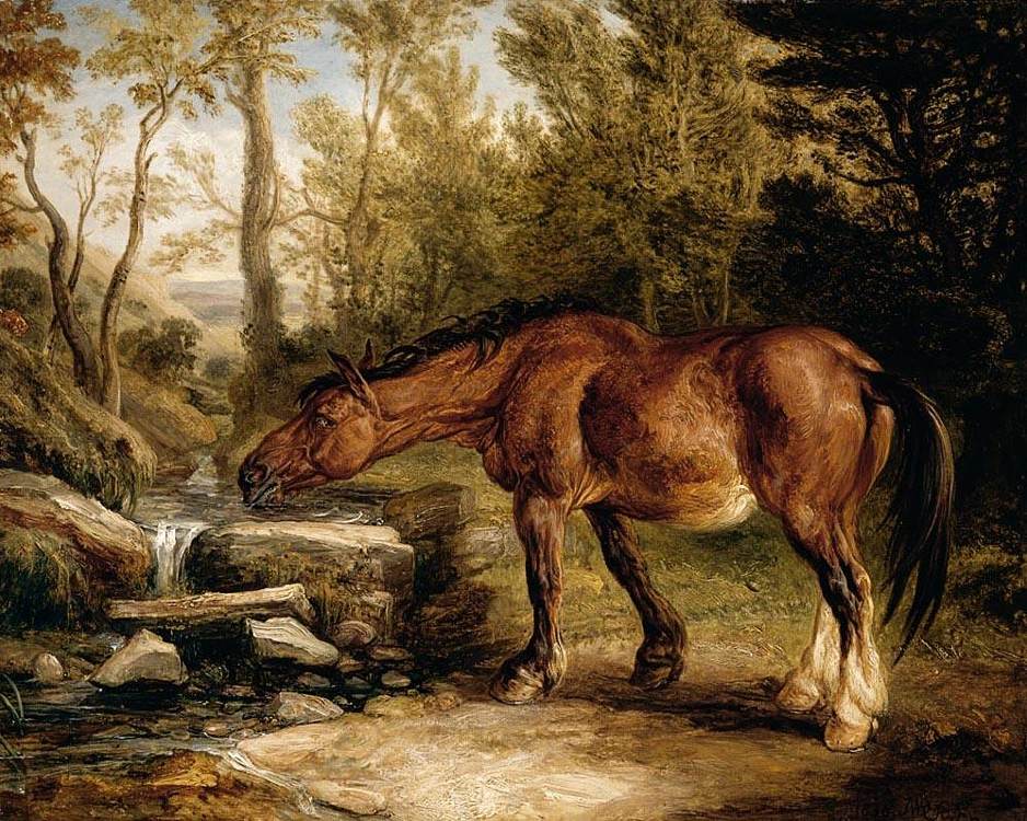 James_Ward_A_Horse_Drinking_at_a_Stream.jpg