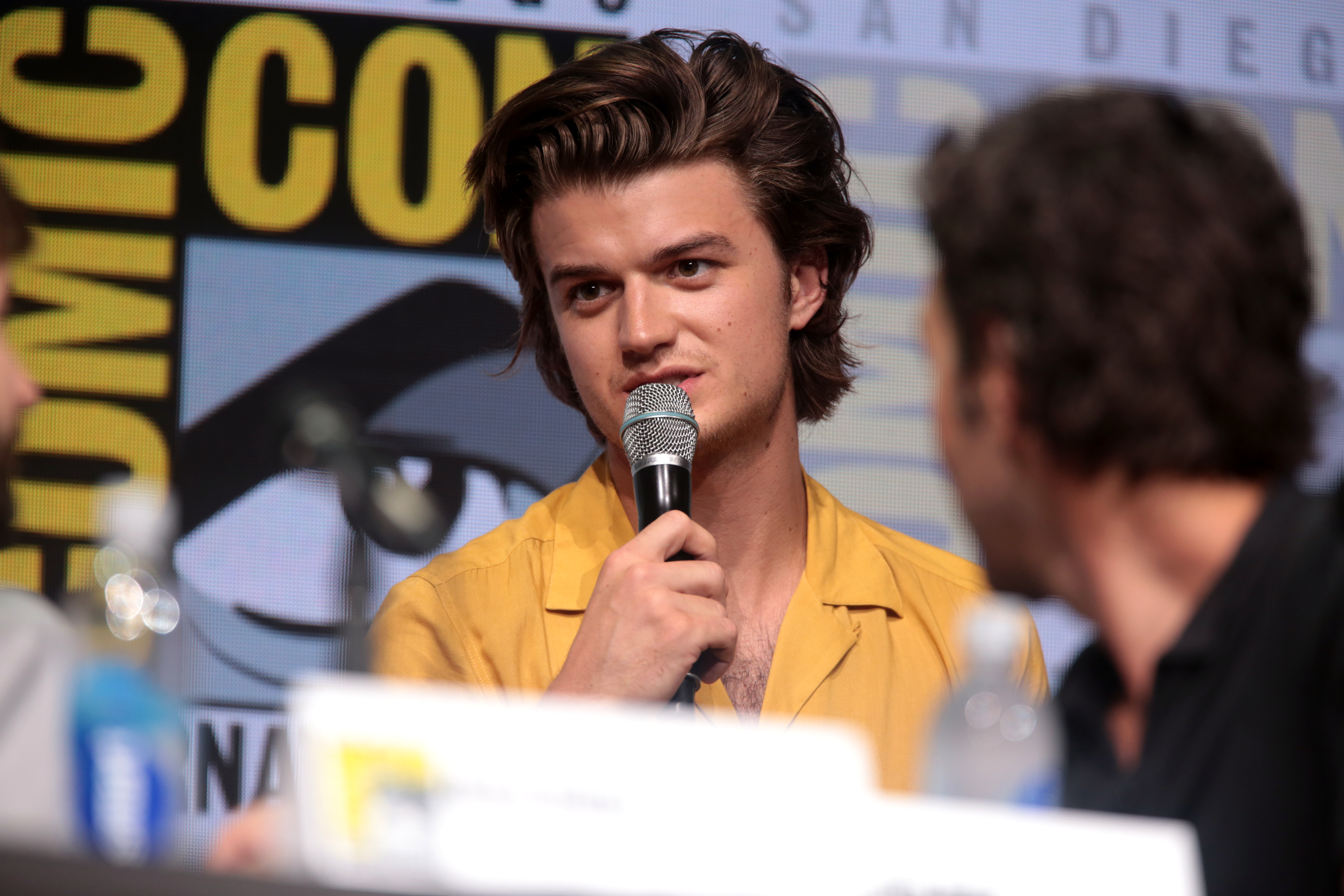 Joe Keery - Wikipedia