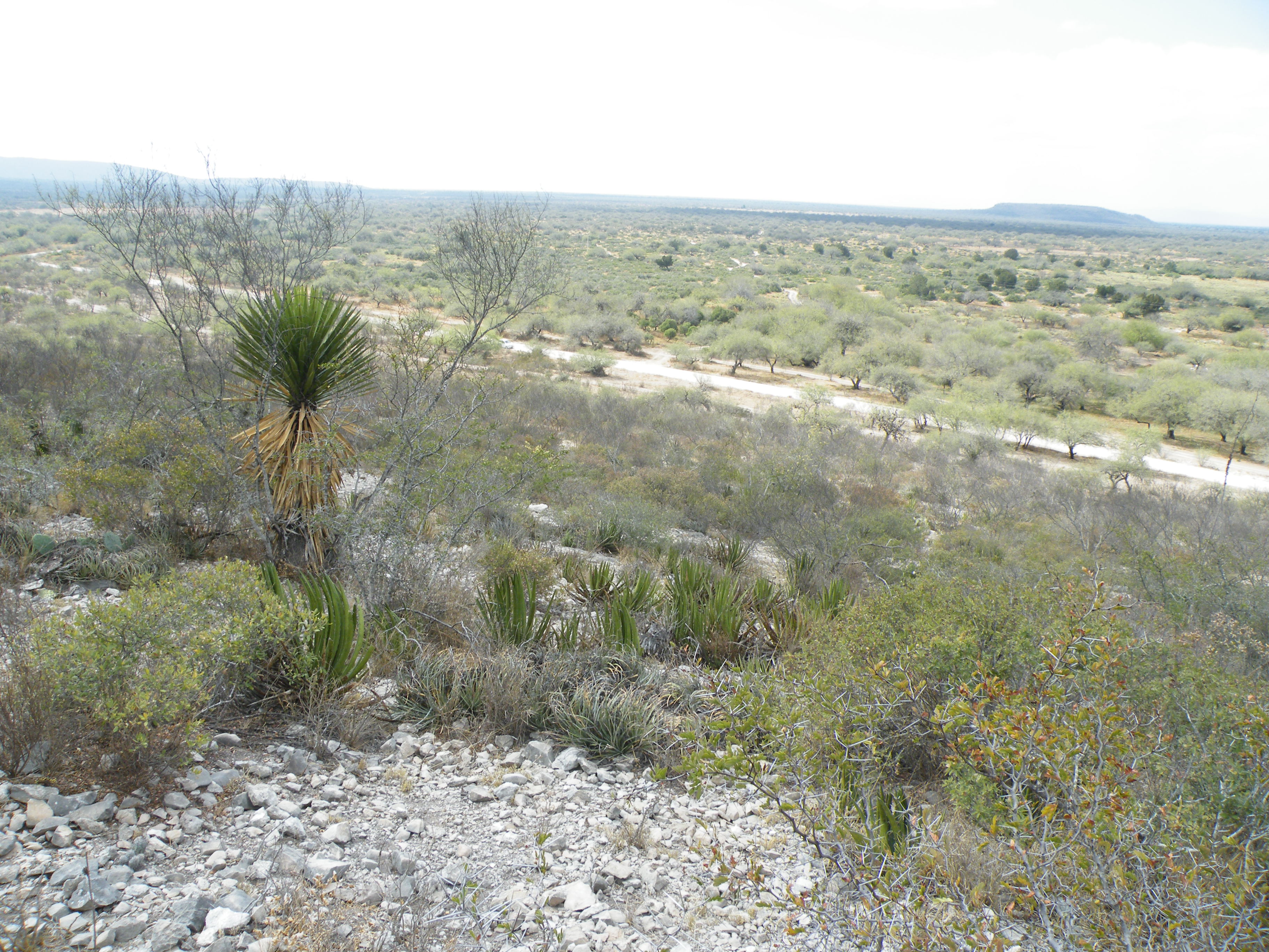 Las Tablas, San Luis Potosis (5706366049).jpg