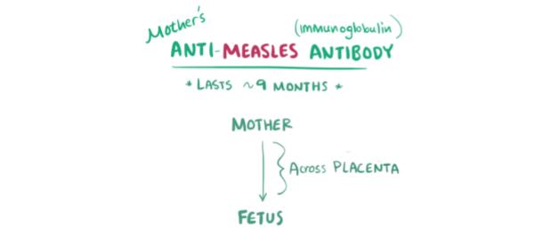 Image 14 of measles video