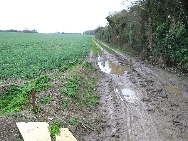 File:Muddy track heading SW near Hill Farm - geograph.org.uk - 346863.jpg