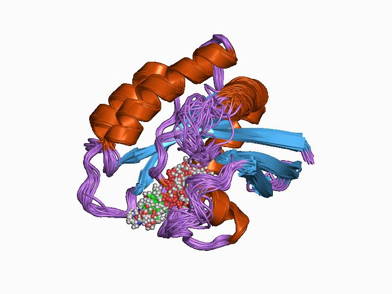 File:PDB 1crr EBI.jpg