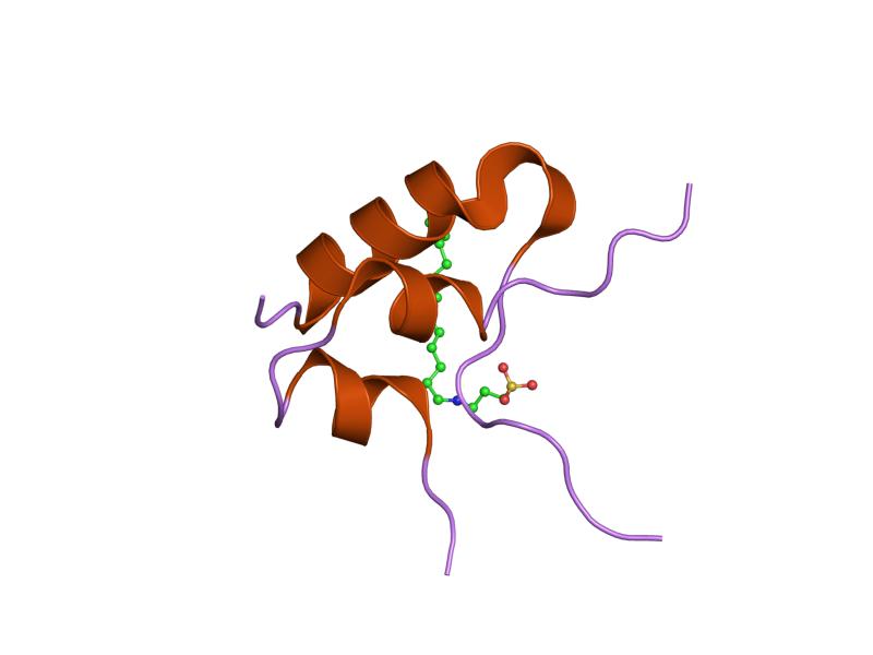 File:PDB 1gzy EBI.jpg