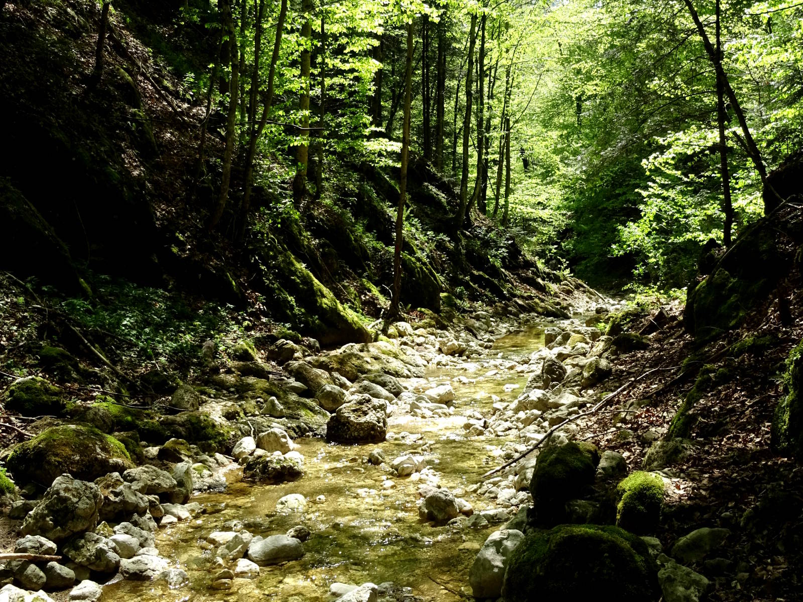 Река 6 букв. Река Валька. Река Валя. Река Глушки. Река Валя фото.