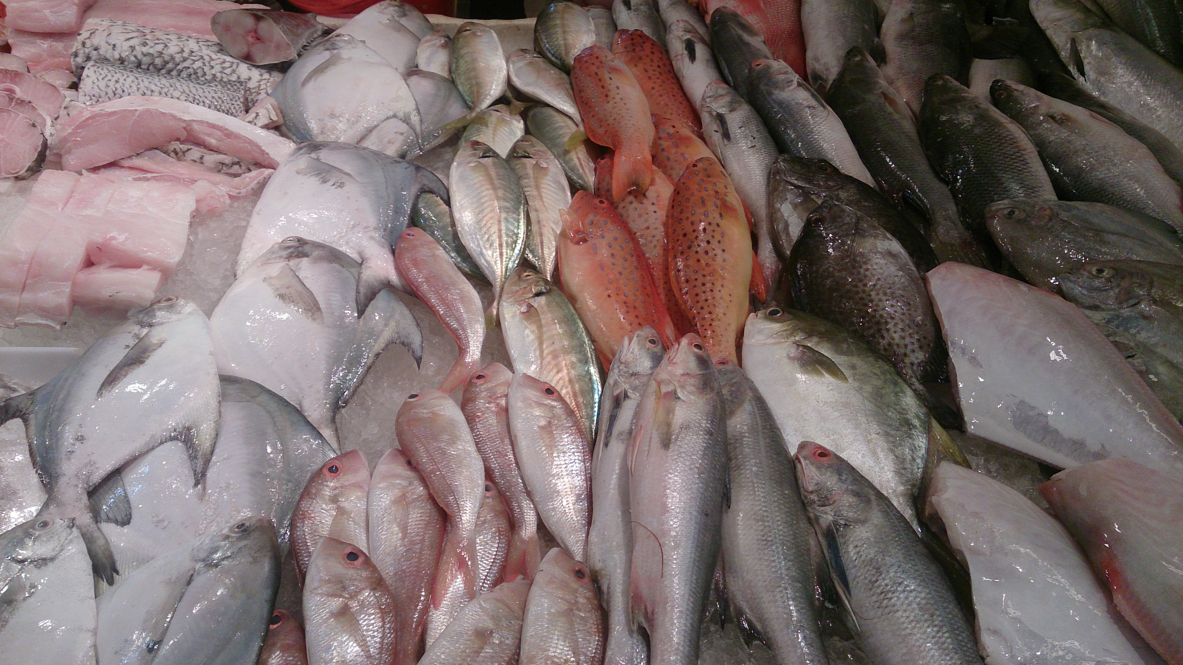 whole raw fish garnished with lemon, lime and herbs, isolated .