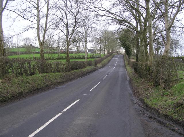 Road_at_Ballylesson_-_geograph.org.uk_-_667916.jpg