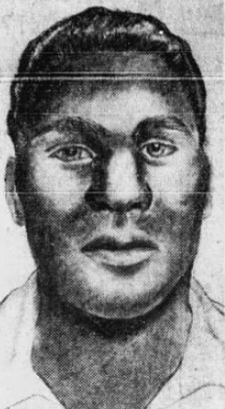 <span class="mw-page-title-main">Bouncing Ball Killer</span> Unidentified American serial killer