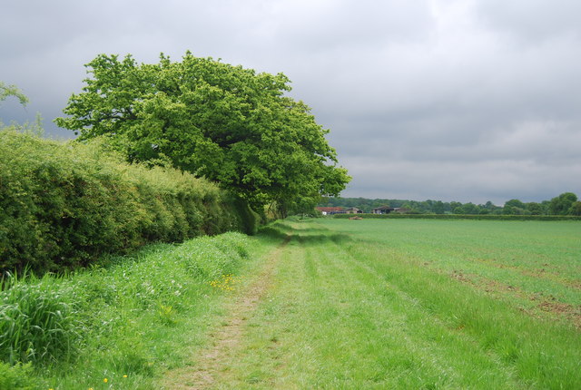 File:Tandridge Border Path - geograph.org.uk - 3550385.jpg