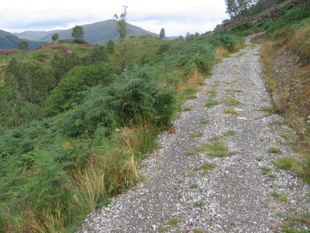 Trail in Glen Finglas Woodland Trust - geograph.org.uk - 544022