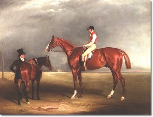 File:Velocipede (horse).jpg