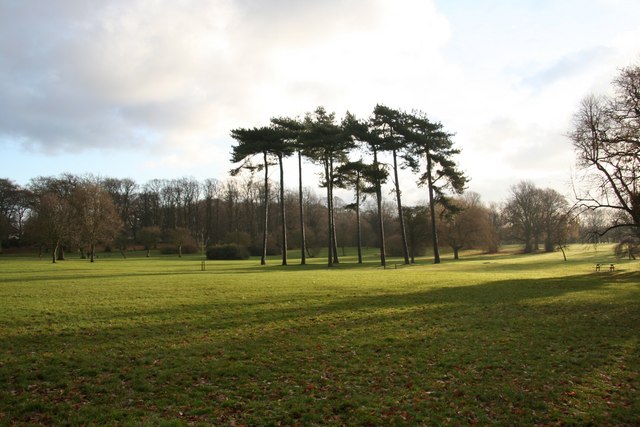 Weelsby Woods - geograph.org.uk - 1079017
