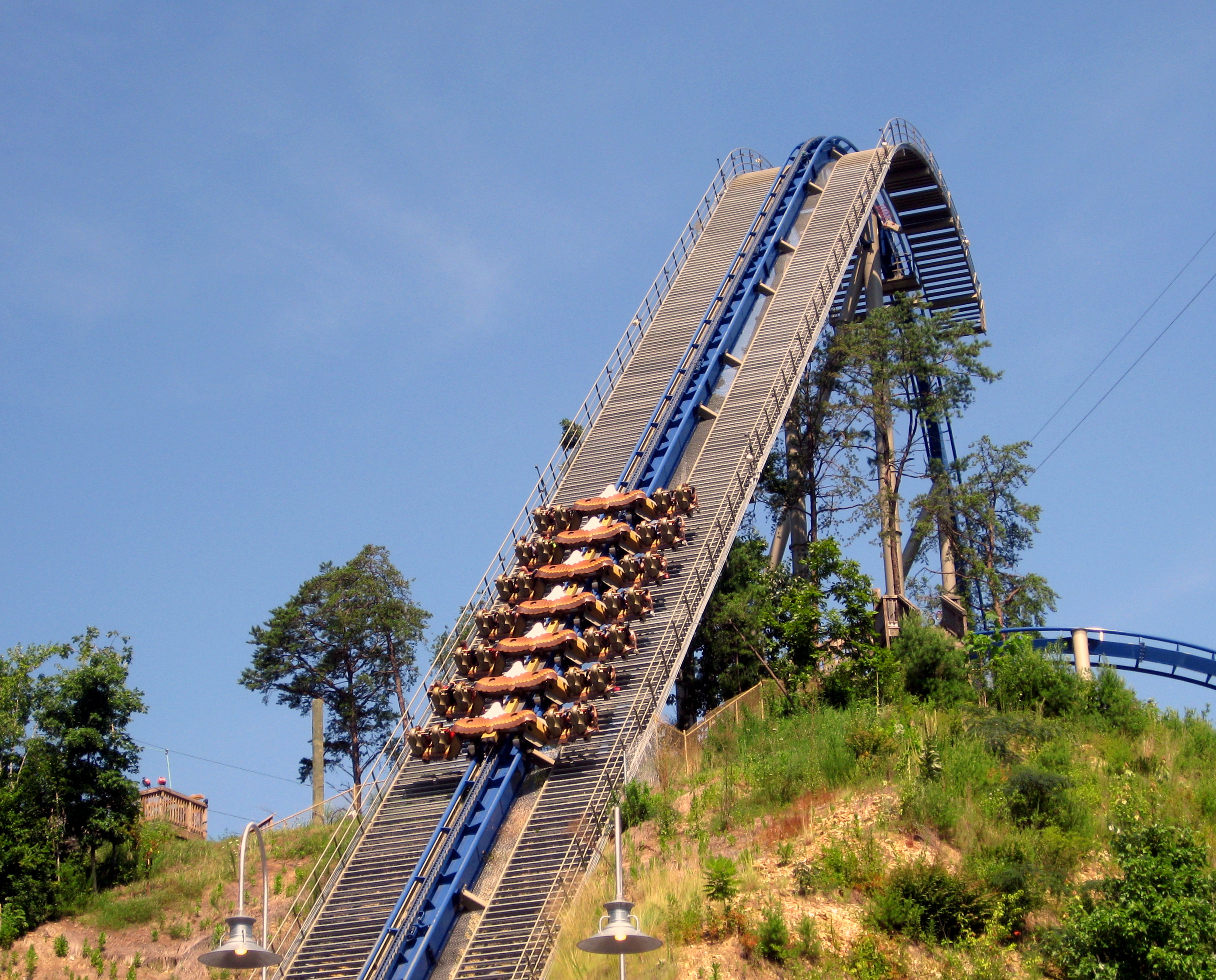 File Wild Eagle Dollywood 2.jpg Wikimedia Commons