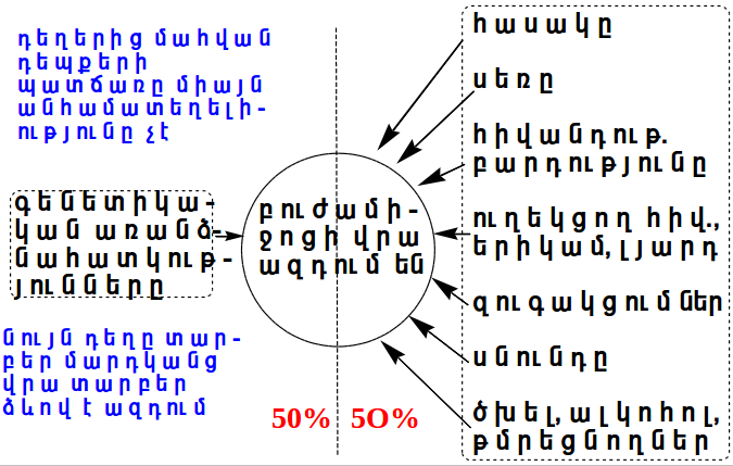 File:Դեղերի անհամատեղելիության տարբեր պատճառները.png