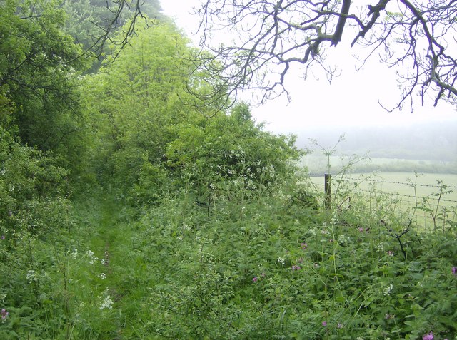 File:Above Tout Hill - geograph.org.uk - 437836.jpg