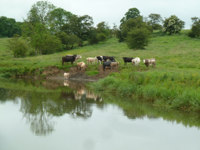 File:Across the River Derwent near Howsham Bridge - geograph.org.uk - 4759594.jpg