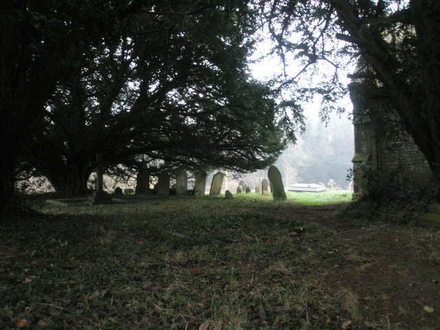 File:Ancient tree in the churchyard at Empshott - geograph.org.uk - 1099135.jpg