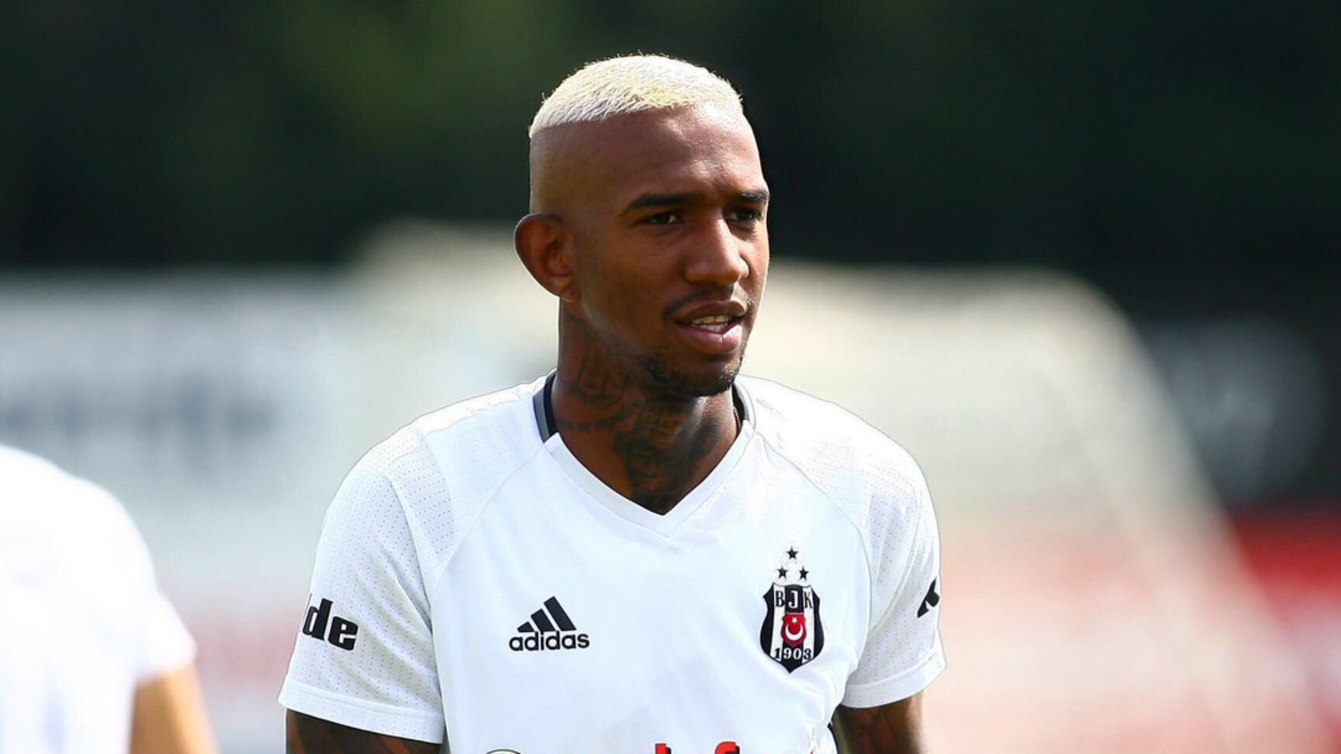 Talisca Wikipedia