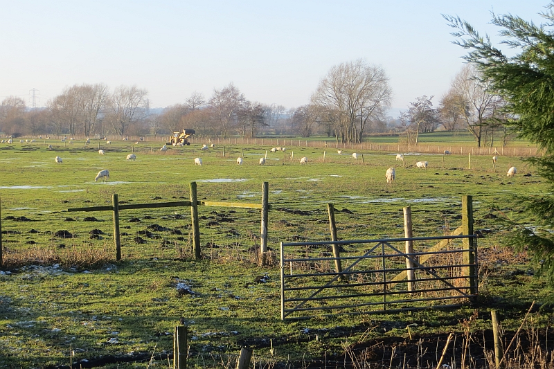 File:Baggy Moor - geograph.org.uk - 4292748.jpg