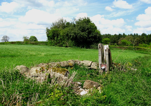 File:Brearton Pump - geograph.org.uk - 1300892.jpg