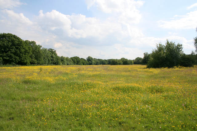 Burbage Common - geograph.org.uk - 847586