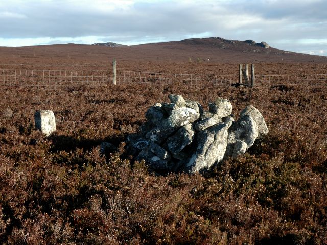 Cairn Boundary Stone on Forestry Commission Boundary - geograph.org.uk - 2156644